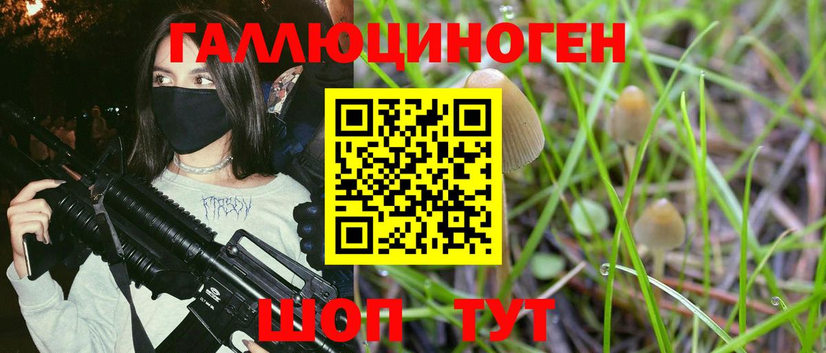 Псилоцибиновые грибы мицелий  Вход с VPN  Мичуринск 